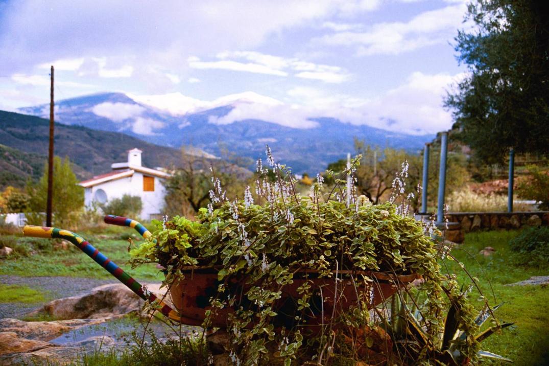 Huerta